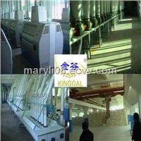 200 tons/day wheat  flour roller mill