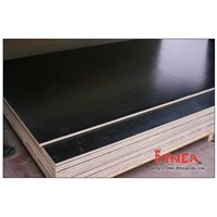 China Film Faced Plywood