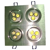 Combination 12W LED Ceiling Light