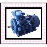 High Voltage Explosion-Proof Three-Phrase Induction Motor
