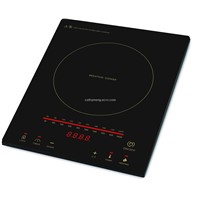 Induction cooker B305