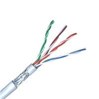 LAN Cable (FTP cat5e)