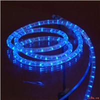 LED rope light round 2 wire