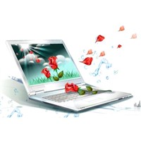 Luxury Laptop 13.3 Inch from Happyshoppinglife
