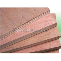 Poplar Okoume Commercial Plywood