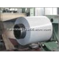 Pre-Coated Metal Sheet/ Coil