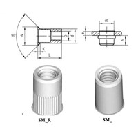 SMALL HEAD RIVET INSERT NUT