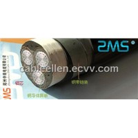 XLPE Insulated Steel Tape Armored PE Sheath Power Cable
