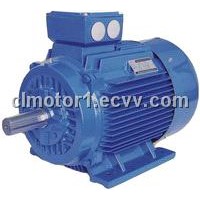 Y2 series three phase electric motor