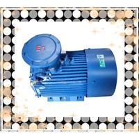 YB2 Explosion-Proof Three-Phase Induction Motor