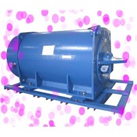YB560-800 High Voltage Explosion-Proof Three Phase Induction Motor