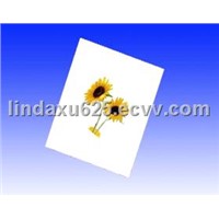 Auto Air Filter Paper