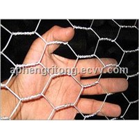 Galvanized &amp;amp; PVC Coated Hexagonal Wire Mesh