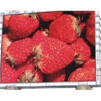 indoor led sign p7.62