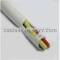 Insulated Wire