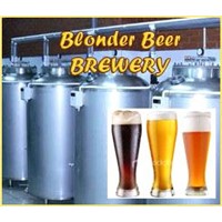 Microbrewery, minibrewery + technology and recipes