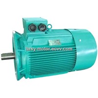 Y2 Series Three Phase Asynchronous Motor/Three Phase Induction Motor