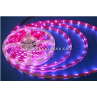 5050 Red LED Strip - 60pcs/m