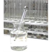 5-Cyano-3-pyridinyl boronic acid