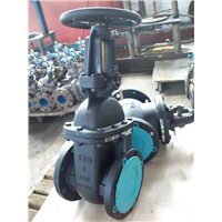 (ANSI) Cast Iron OS&Y Gate Valve
