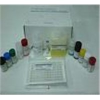 Aflatoxin B1 Elisa Test Kit