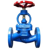 Bs Globe Valve