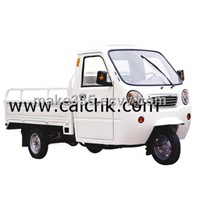Cargo Tricycle 1