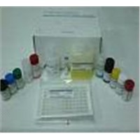 Chloramphenicol Elisa Kit