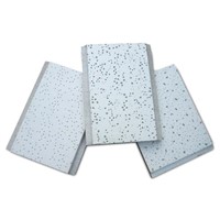 Decorative Mineral Fiber Ceiling Tiles