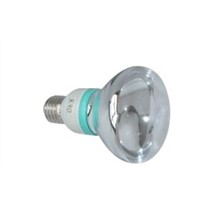 R80 LED BULB