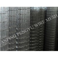 Galvanized Welded Wire Mesh