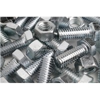 Hex Head Bolt and Nut