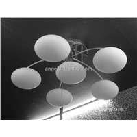 Ceiling Light