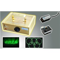 Pro Laser Light with High Luminous and Attracting Price
