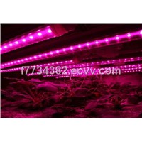 T8 LED Grow Light Tube