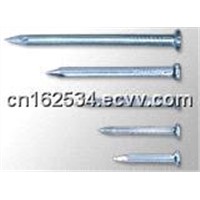 Common Wire Nails with Good Galvanized
