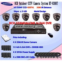 8CH CCTV Camera &amp;amp;  DVR Systmes HT-8308T
