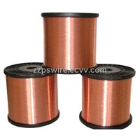 CCS (Copper Clad Steel Wire)