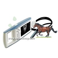 Digital Palmtop Vet Ultrasound Scanner (BW520V)