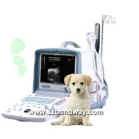 Digital Portable Veterinary Ultrasound (BW8T-VET)