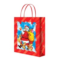 Fashion Paper Carrier Bags for Christmas Gifts