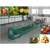 Fruit Sorting Machine Conveying Fruit Automatically