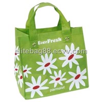 Non Woven Gift Bag