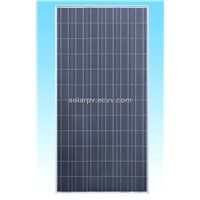 Poly Crystalline Solar Panel