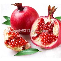 Pomegranate Extract Ellagic Acid