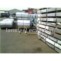 Pre-Painted Steel Sheet