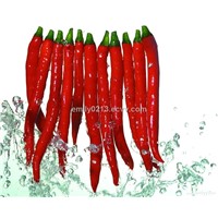Red Chilli Extract Capsaicinoids