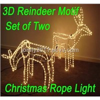 3D Deer Lights Set of Tow
