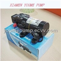 battery water pump