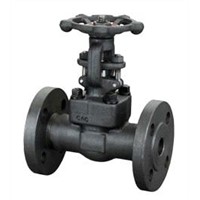 Class 150~600 Flanged End Forged Gate Valve